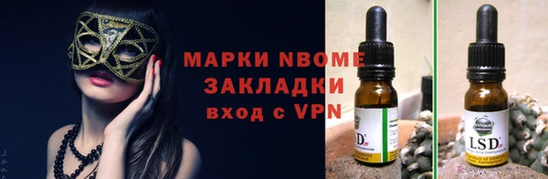 крисы Балахна