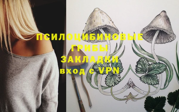PSILOCYBIN Арсеньев