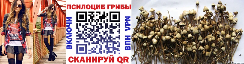 Галлюциногенные грибы мицелий Белая Холуница